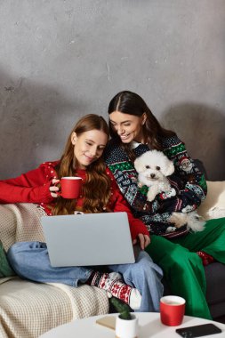 İki kız arkadaş, Noel 'i evde kutlarken Bichon frizleriyle neşeli bir anın tadını çıkarıyorlar..