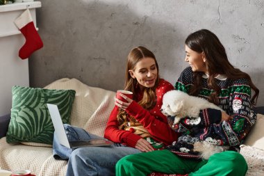 Two girlfriends enjoy a warm holiday gathering with their adorable Bichon Frise and festive drinks at home. clipart