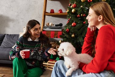 Sevgililer Noel ağacının yanında neşeli bir anın tadını çıkarırlar. Şirin Bichon Frise 'leriyle, neşe ve kahkahaları paylaşırlar..