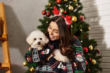 Şenlikli süveter giyen genç bir kadın Noel 'i sevinçle kutluyor. Ağacın yanında şirin Bichon friziyle..