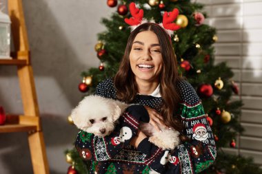 Şenlikli süveter giyen genç bir kadın Noel ağacının yanında Bichon friziyle neşeli bir anın tadını çıkarıyor..