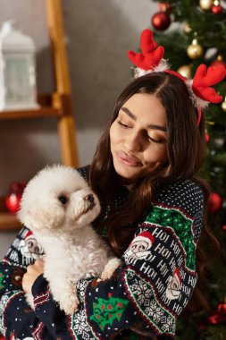 Bayramlık süveter giyen genç bir kadın sevgiyle Bichon Frise 'sini tutuyor, Noel' in keyfini kutluyor..