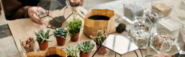 Man at a colorful workshop to craft unique terrariums filled with succulents. clipart