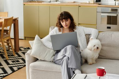 Genç bir kadın kanepede rahat bir şekilde oturuyor, dizüstü bilgisayarına odaklanmış, yanında bir köpekle..