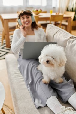Parlak bir oturma odasında, genç bir kadın dizüstü bilgisayar kullanırken köpeği ile kanepede dinlenir..