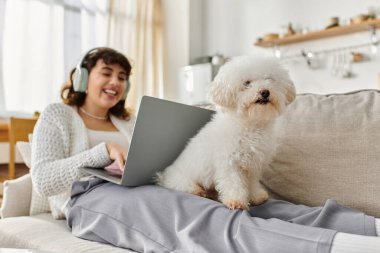 Genç bir kadın kanepede rahat bir şekilde dizüstü bilgisayarıyla meşgul olurken köpeği ona eşlik ediyor..