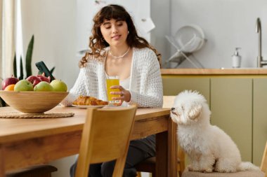 Genç bir kadın kahvaltısını taze meyve suyu ve hamur işiyle yaparken köpeği hevesle izliyor..