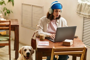 Labradoru yakınlarda dinlenirken genç bir kadın modern bir kafede dizüstü bilgisayarıyla çalışıyor..
