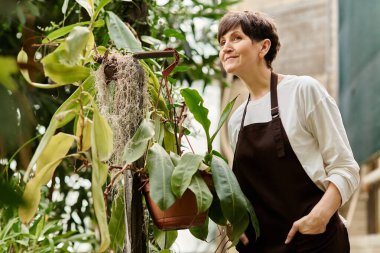 Olgun bir kadın hayat dolu bir sera atmosferinde çalışırken bitkilerle büyüleyici bir şekilde ilgilenir.