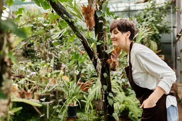 Parlak ve sakin bir sera ortamında yemyeşil bitkilerin arasında çalışan kendine güvenen bir kadın.