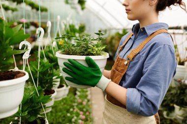 Kendini adamış bir bahçıvan, yeşil başparmağını sergileyerek, güneşli bir serada bitki yetiştirme eğilimindedir..