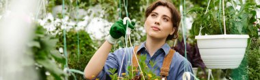Güneşli bir serada neşeyle renkli bitkilerle ilgilenen genç bir kadın.
