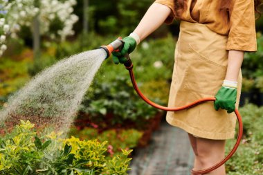 Türban sularındaki hoş kadın bahçıvan büyüyen serasında bitkiler yeşertir..