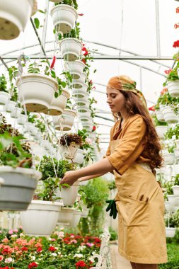 Türbanlı kendini adamış genç bir kadın canlı bir serada gelişen bitkileri besliyor..