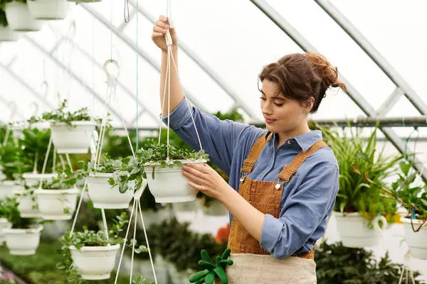 Genç bir bahçıvan tutkusunu sergileyerek güneşli bir serada bitki yetiştiriyor..