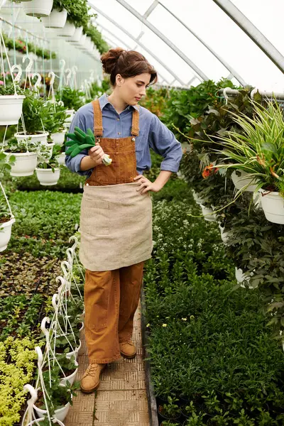 Genç bir kadın bir serada yeşillik yetiştiriyor. Bahçıvanlığa olan bağlılığını gösteriyor..