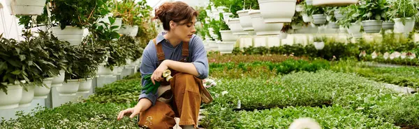 Genç bir kadın parlak bir serada çeşitli bitkilerle ilgileniyor. Bahçıvanlık yeteneklerini ve afişini sergiliyor.