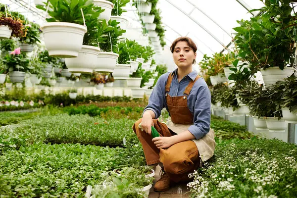 Canlı bir serada, genç bir kadın gelişmekte olan bitkileriyle dikkatlice ilgilenir, neşe saçar..