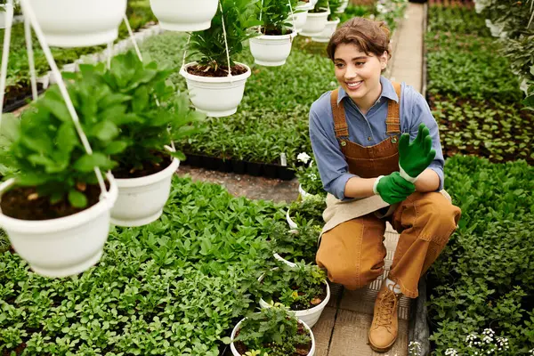 Genç bir bahçıvan güneşli bir serada gelişmekte olan bitkilerini özenle yetiştirir..