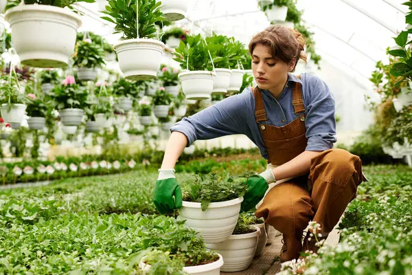 Genç bir kadın sera ortamında gelişmekte olan bitkileriyle dikkatlice ilgilenir..