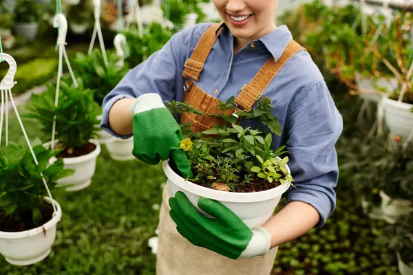 Genç bir kadın, iyi ışıklandırılmış bir serada saksı bitkileriyle ilgilenir. Hayatı özenle besler..