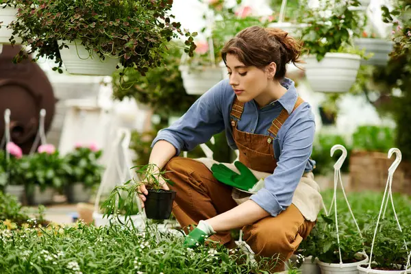 Genç bir kadın çiçeklerini renkli bir serada saklar. Mutluluk ve bakım saçar..