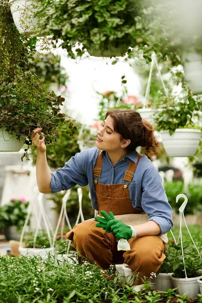 Parlak bir serada, genç bir kadın bahçeye olan sevgisini göstermek için bitkilerine nazik davranır..