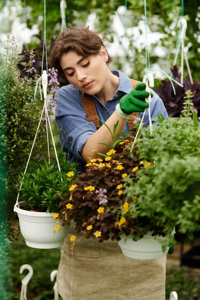 Canlı bir serada, genç bir kadın tutkusunu sergileyerek büyük özenle çiçekleri yeşertir..