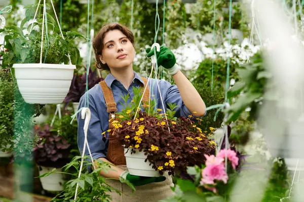 Genç bir bahçıvan parlak bir seradaki yemyeşil bitkilerle ilgilenir. Huzurlu aktivitesinin tadını çıkarır..