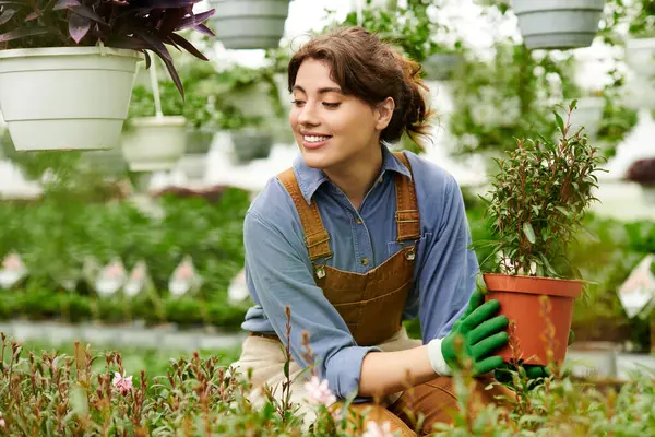 Genç bir kadın bahçeye olan sevgisini yansıtan parlak bir serada bitki yetiştirme eğilimindedir..