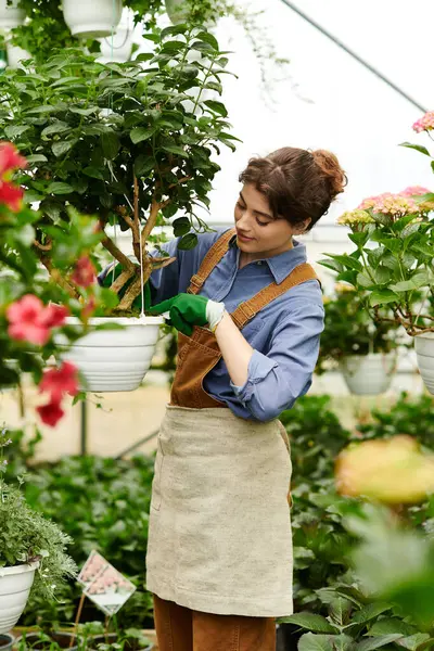 Neşeli bir kadın çiçek açan bir serada bitki besliyor..