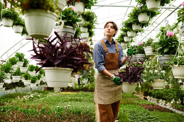 Tutkulu bir bahçıvan, yemyeşil bir serada canlı bitkiler yetiştirir..