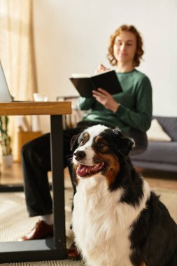 Genç bir adam, yanında mutlu bir köpekle evinde oturup günlüğüne notlar yazıyor..