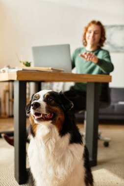Genç bir adam masasında neşeli köpeğiyle mutlu bir şekilde etkileşimde bulunuyor..