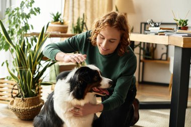 Genç bir adam, sıcak ve davetkar bir yaşam alanında köpeğiyle kaliteli zaman geçirir..