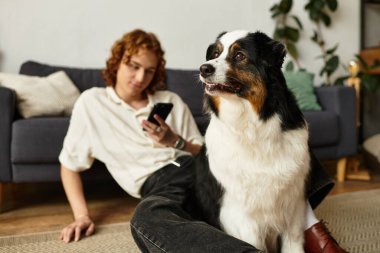 Köpeği yakınlarda dinlenirken genç bir adam yerde telefonuyla oturuyor..