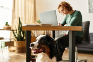 Genç bir adam, köpeği yanında otururken rahat bir çalışma alanından dizüstü bilgisayarına odaklanır..