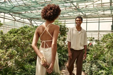 Canlı bir serada, genç bir çift aşklarını yemyeşil bitkiler arasında paylaşır..