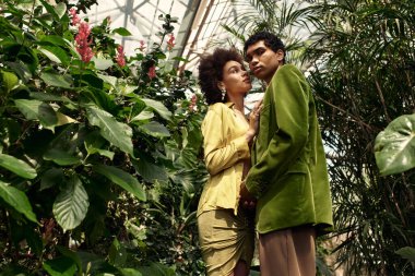 Genç çift, güzel bir serada yemyeşil bitkilerin arasında hassas bir anı paylaşıyor..