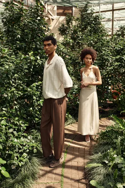 Genç bir çift, yemyeşil bitkilerle çevrili güzel bir serada romantik bir gezinti yapar..