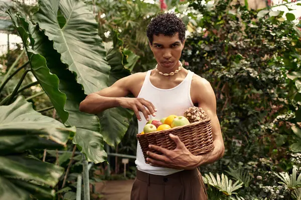 Yakışıklı bir adam çevresi yeşilliklerle çevrili serada taze meyve toplamaktan zevk alır..