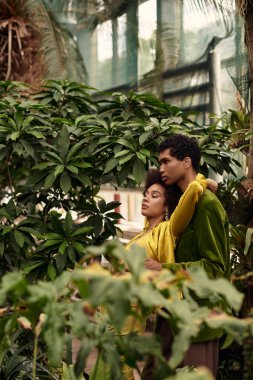 Genç çift, sakin bir serada canlı bitkilerin arasında bir sevgi anı paylaşıyor..