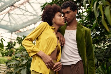 Bir çift, güzel bir serada canlı bitkiler arasında samimi bir anı paylaşıyor..