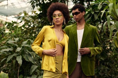 Sevgi dolu çift, serada canlı bitkiler ve yeşilliklerle çevrili samimi anlardan hoşlanır..