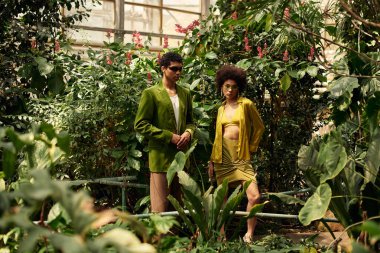 Sevgi dolu bir çift serada büyüyen bir bitki koleksiyonu arasında hassas bir anın tadını çıkarır..