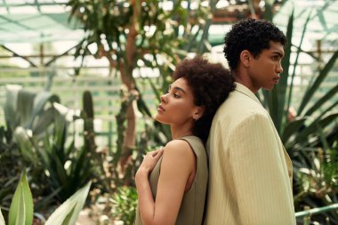 Sevgi dolu bir çift, bol bitki ve doğa ile çevrili bir serada bir anı paylaşır..