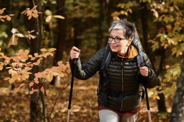 Neşeli yaşlı bir kadın, sonbahar renkleriyle çevrili, huzurlu bir orman yolunda yürüyor..