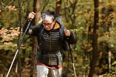 Son sınıf öğrencisi bir kadın renkli yapraklarla çevrili canlı bir ormanda huzurlu bir yürüyüş yapıyor..