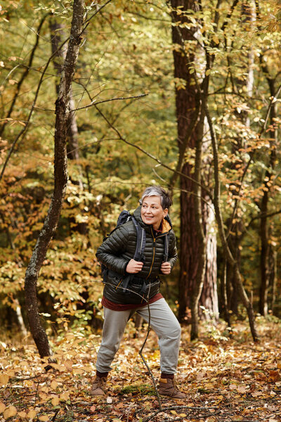 A senior woman is exploring the beautiful fall scenery of the forest, surrounded by colorful leaves.