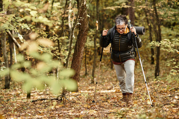 A senior woman navigates through the serene forest, embracing nature while hiking on a crisp day.